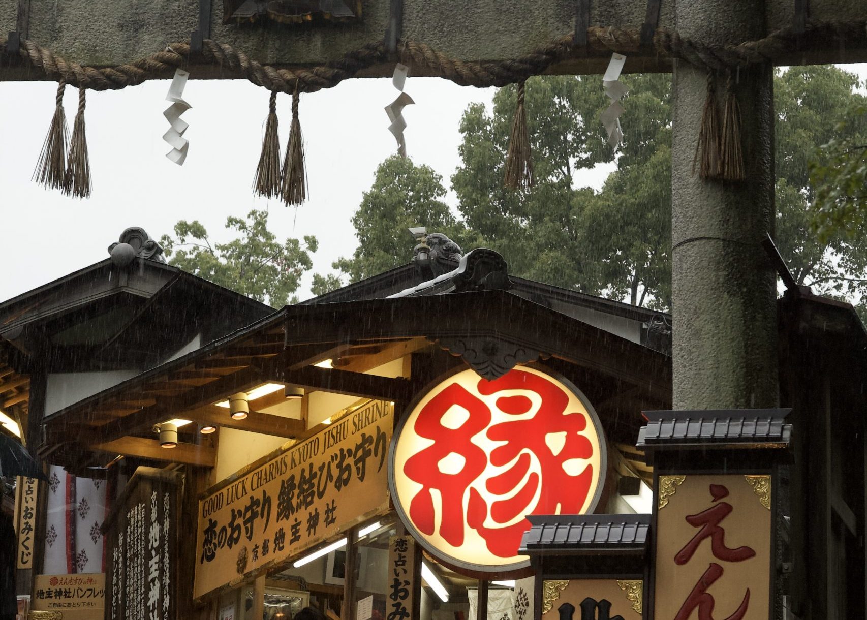 Member Journal — 4/22/24