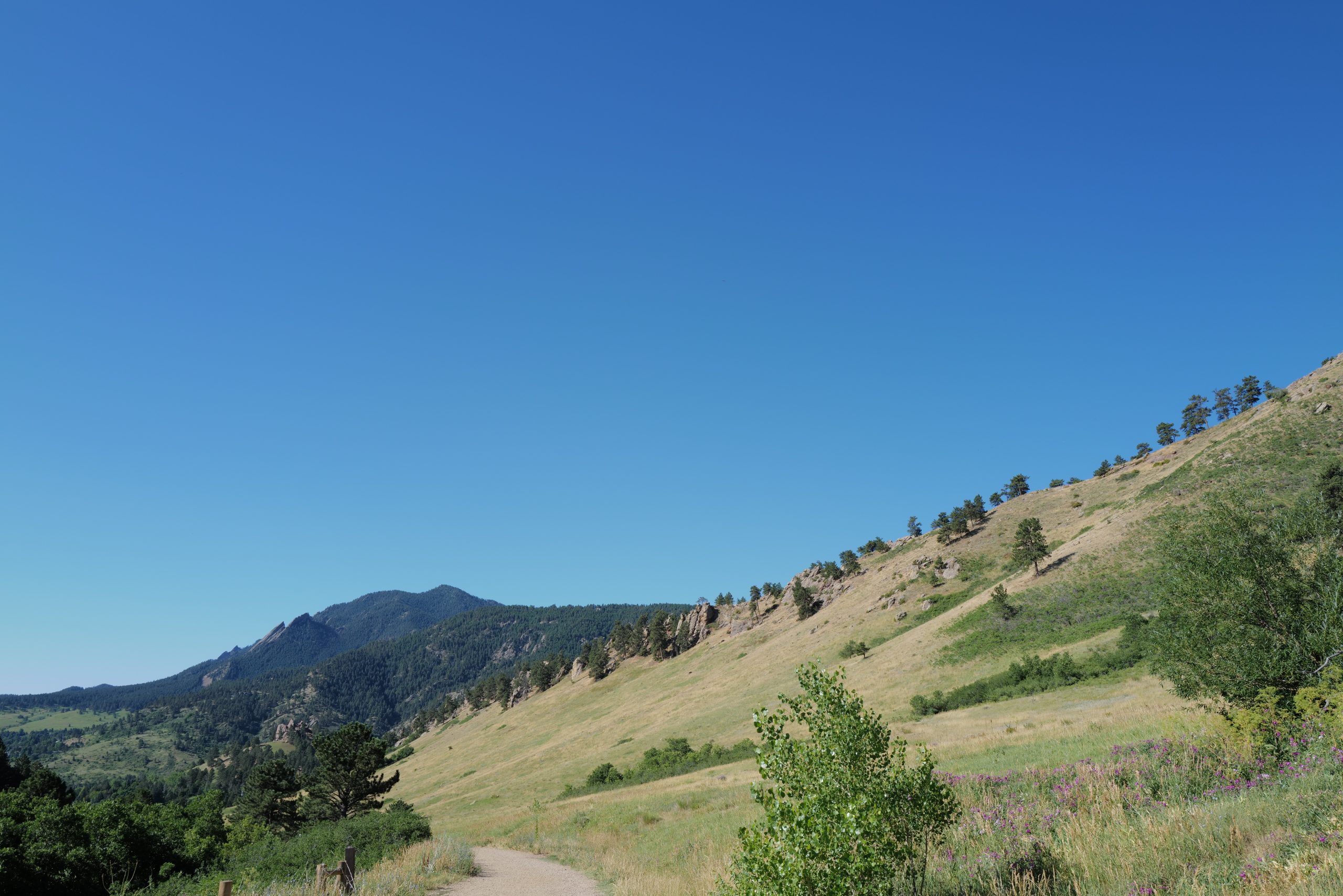 Member Journal — 7/8/24