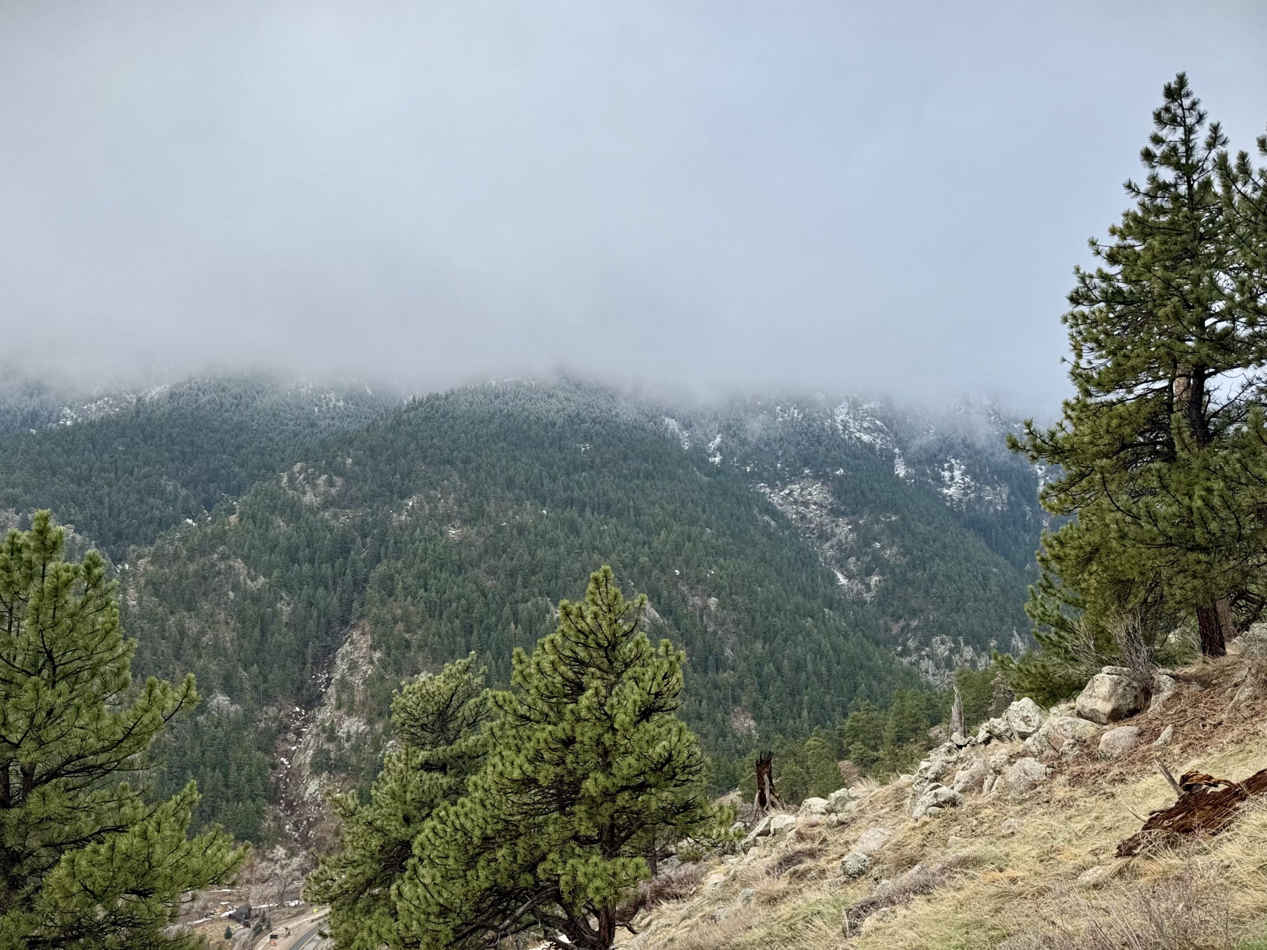 Member Journal — 6/16/25