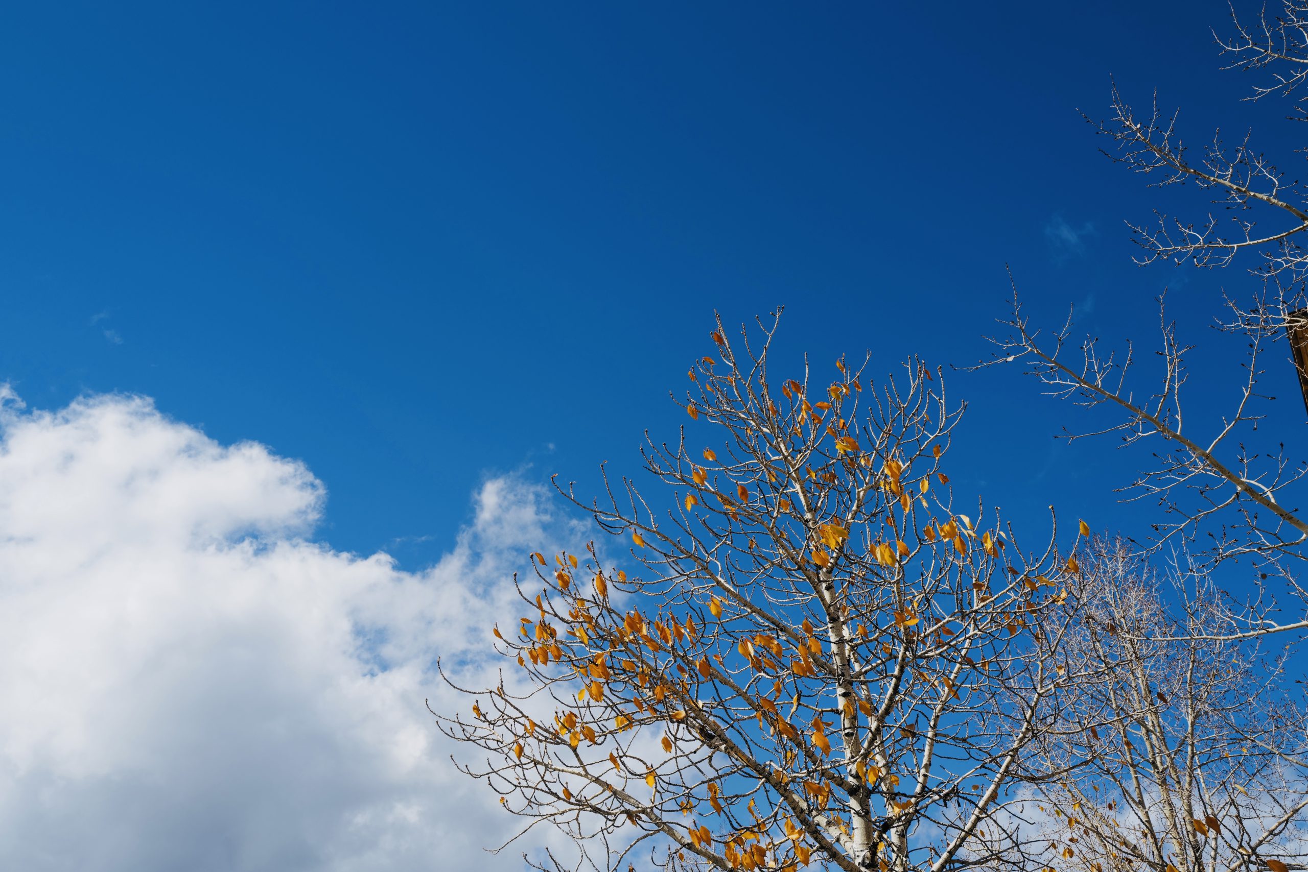 Gear Report — 10/29/25