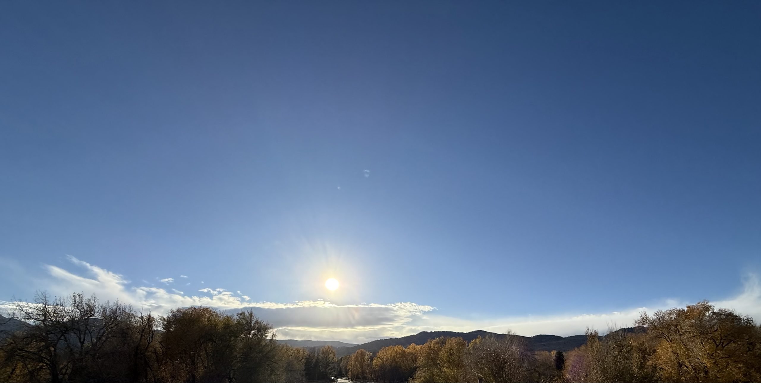 Member Journal — 11/10/25