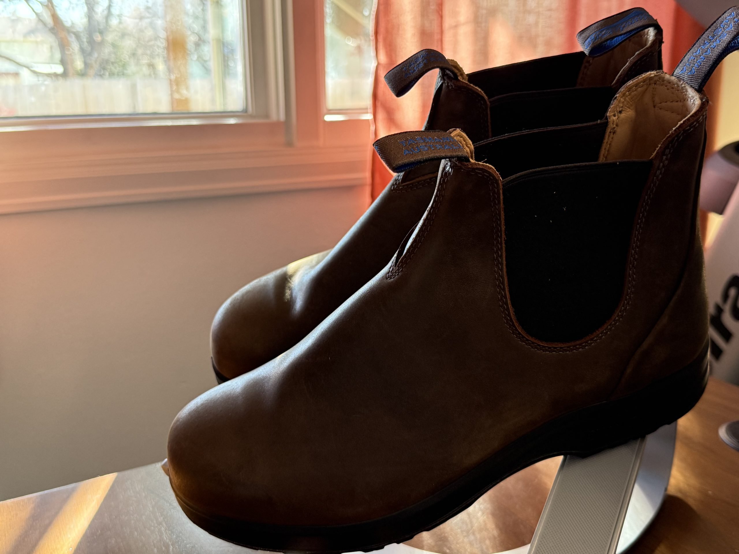 Gear Report — 11/19/25