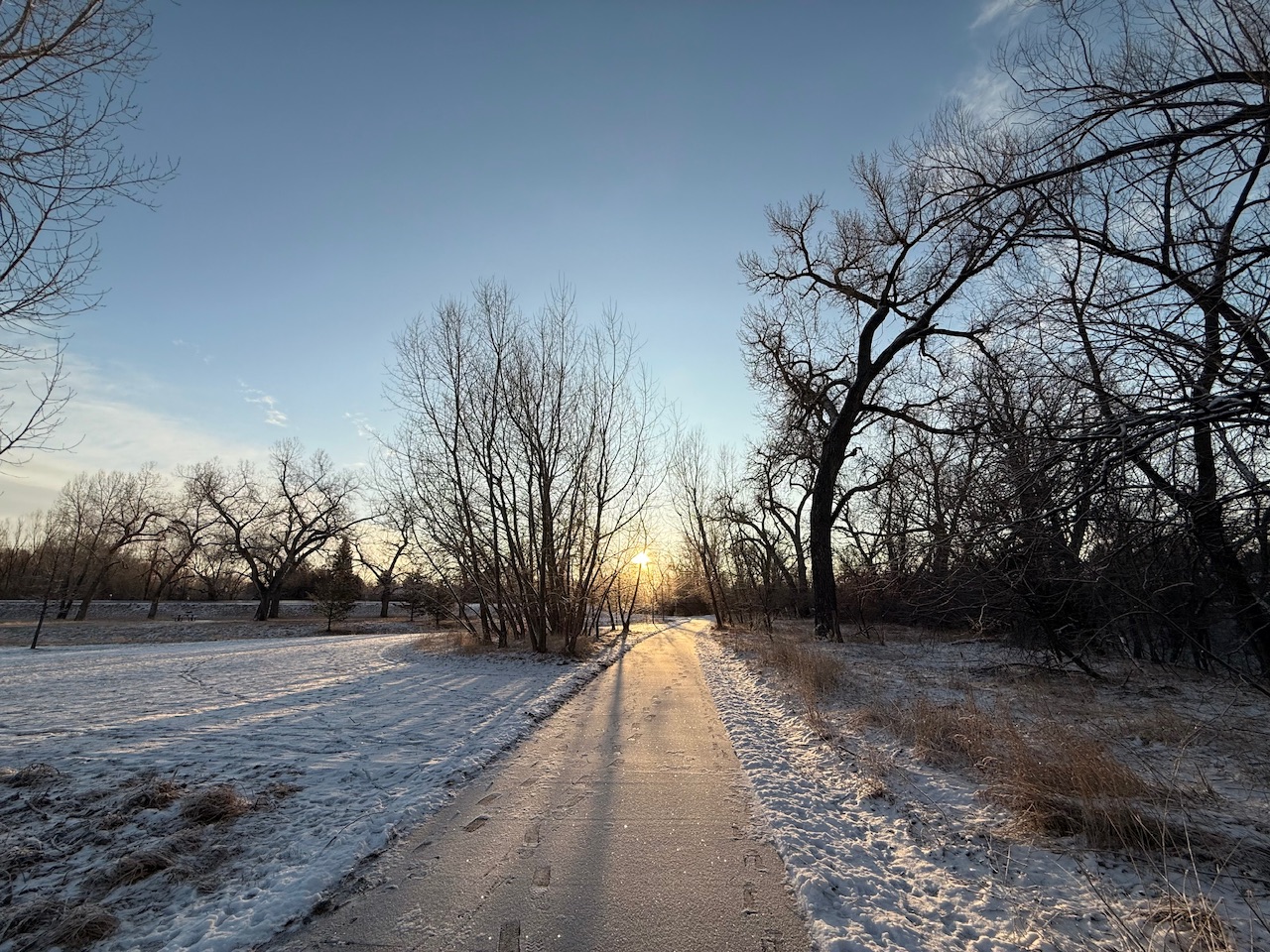 Member Journal — 1/26/26